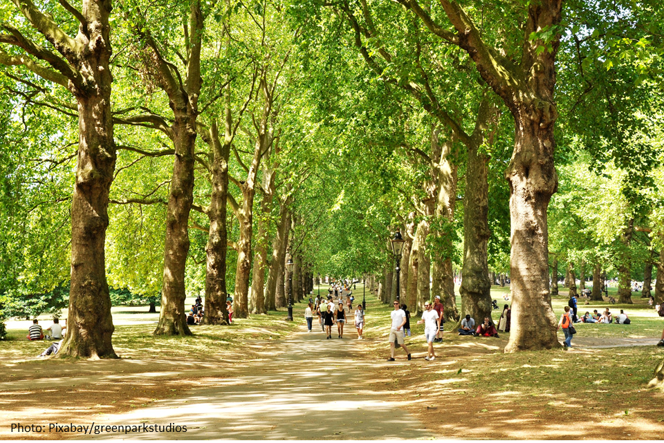 People walking down tree-lined path in park in sunshine